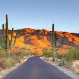 Saguaro National Park