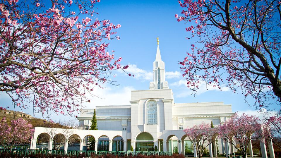 The Wedding Website of Madison Moran and Carson Warnick
