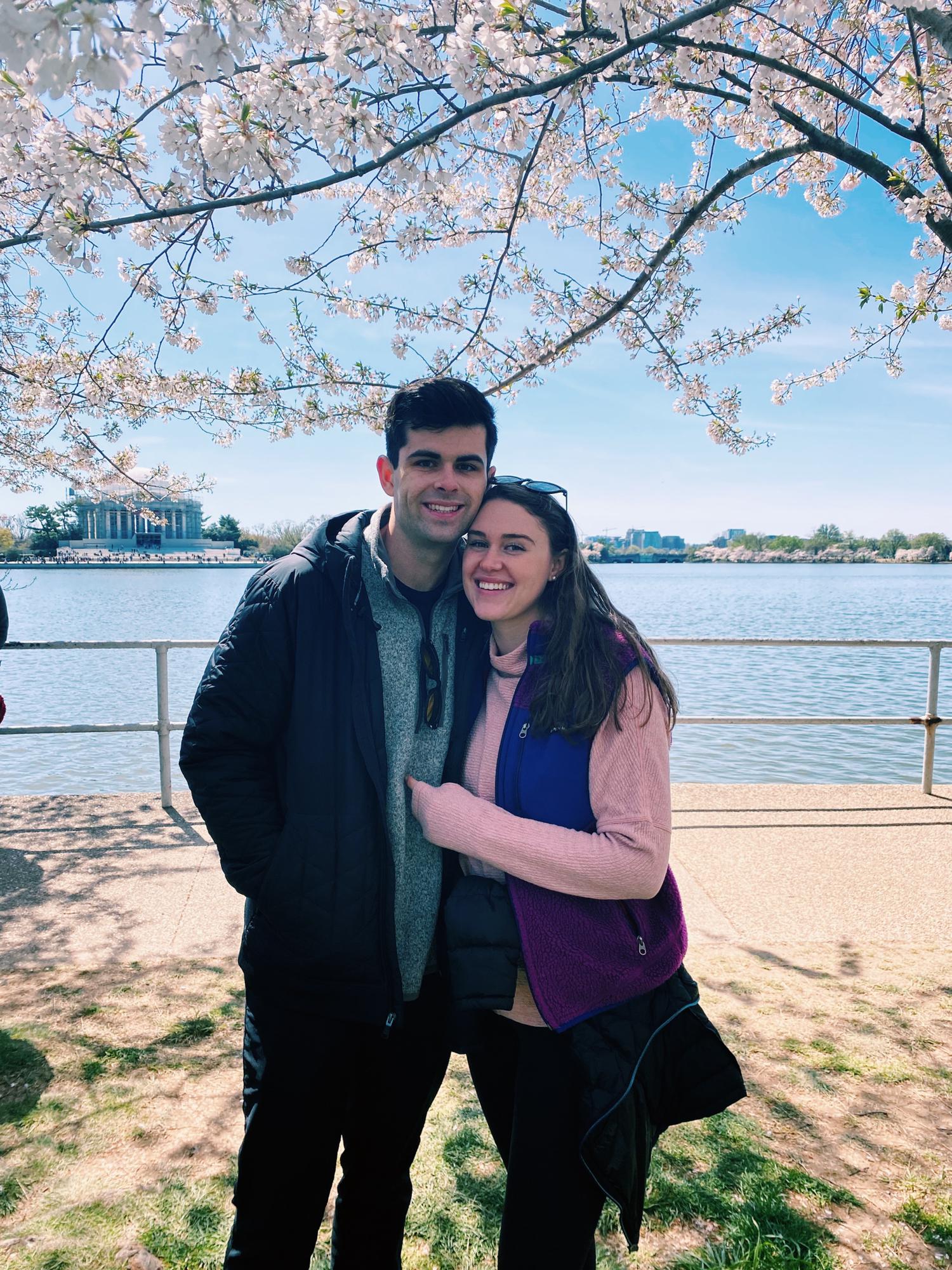 Cherry Blossoms in DC