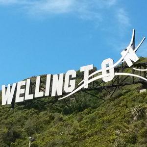 Honeymoon Days 5 & 6 - Wellington