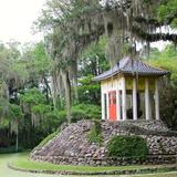 Jungle Gardens