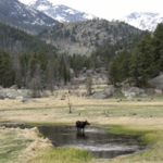 Rocky Mountain National Park