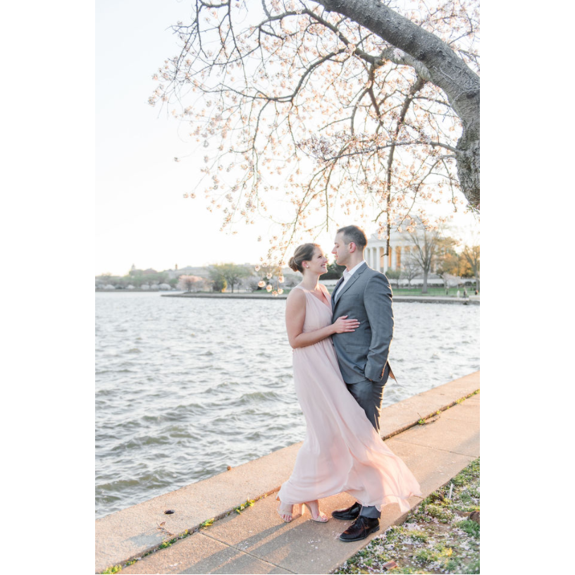 Cherry Blossoms - April 2021