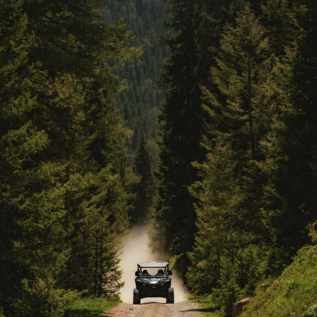 Honeymoon Experience: Side by Side Day Rental