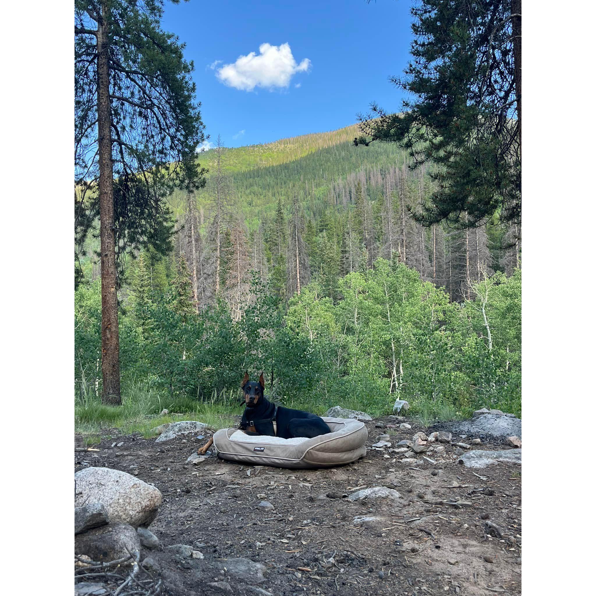 Mya camping in Buena Vista