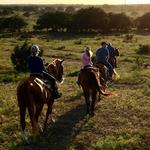 Bit & Bridle Boarding & Training Stables