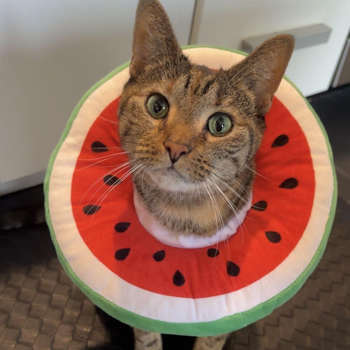 Brian's best friend- Mae