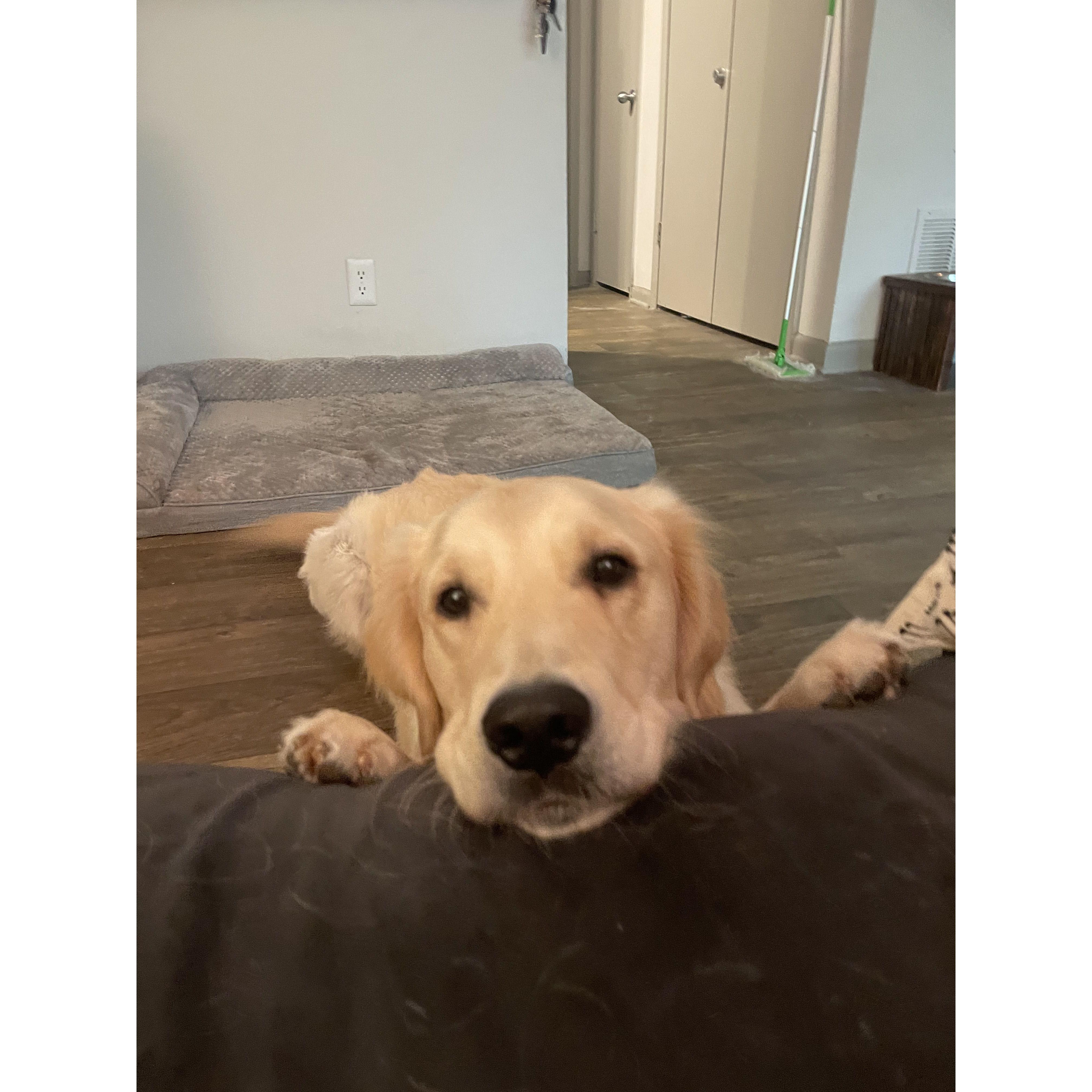 Being cute.