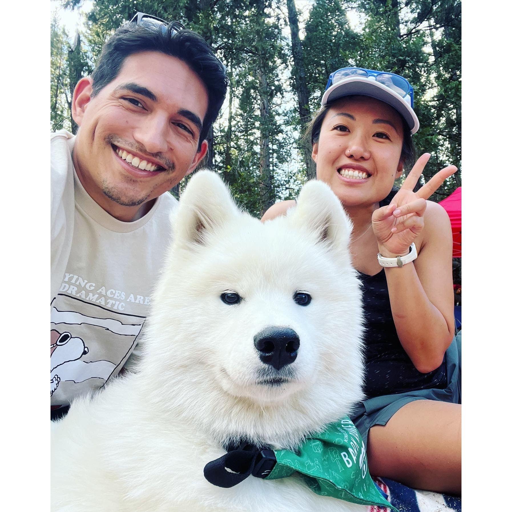 Sequoia national park