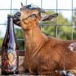 Jester King Brewery