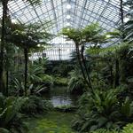 Garfield Park Conservatory