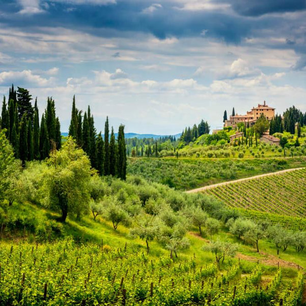 Tuscany Roadtrip