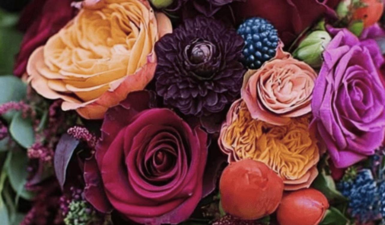 Footer image