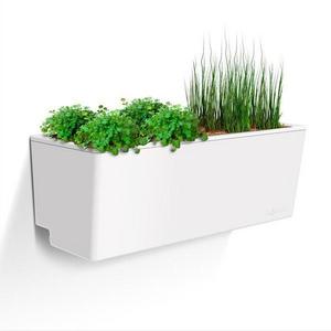 Mini Wall