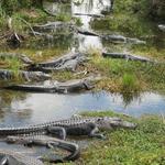 Everglades National Park