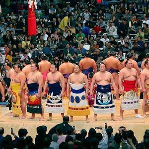 Sumo Wrestling Match, Tokyo