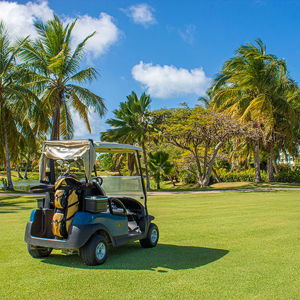 Golfing On Our Honeymoon
