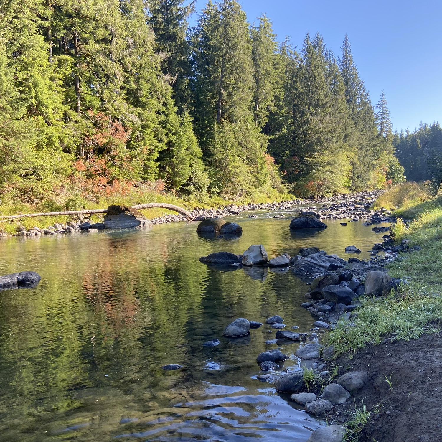 Property is located on the Sol Duc River