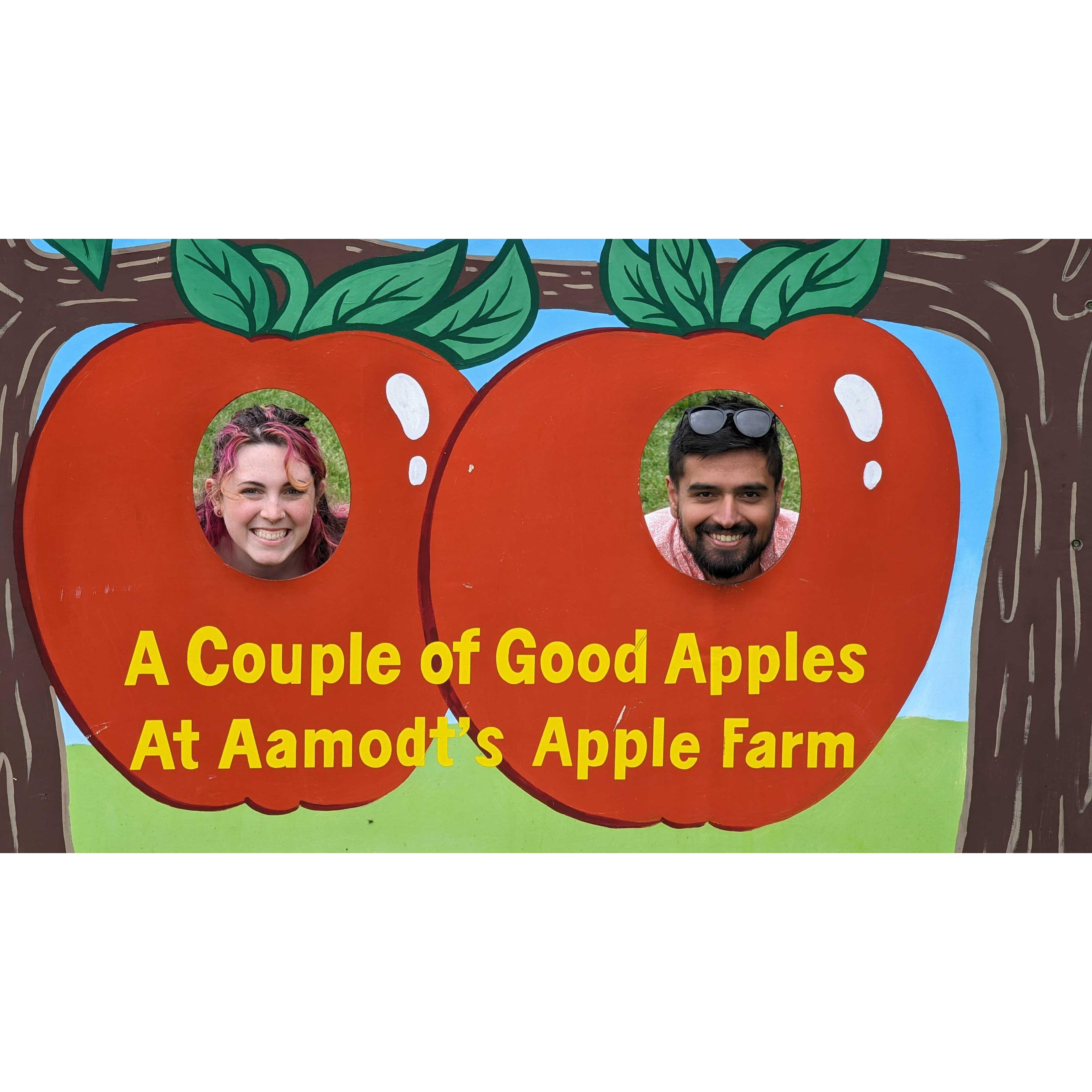 A day at the apple orchard 2023