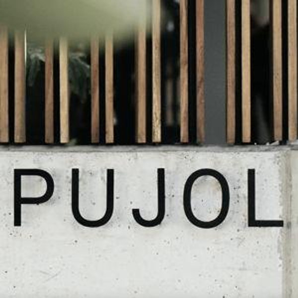 Honeymoon Dinner at Pujol in Mexico City
