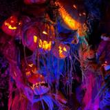 The Darkness Haunted House
