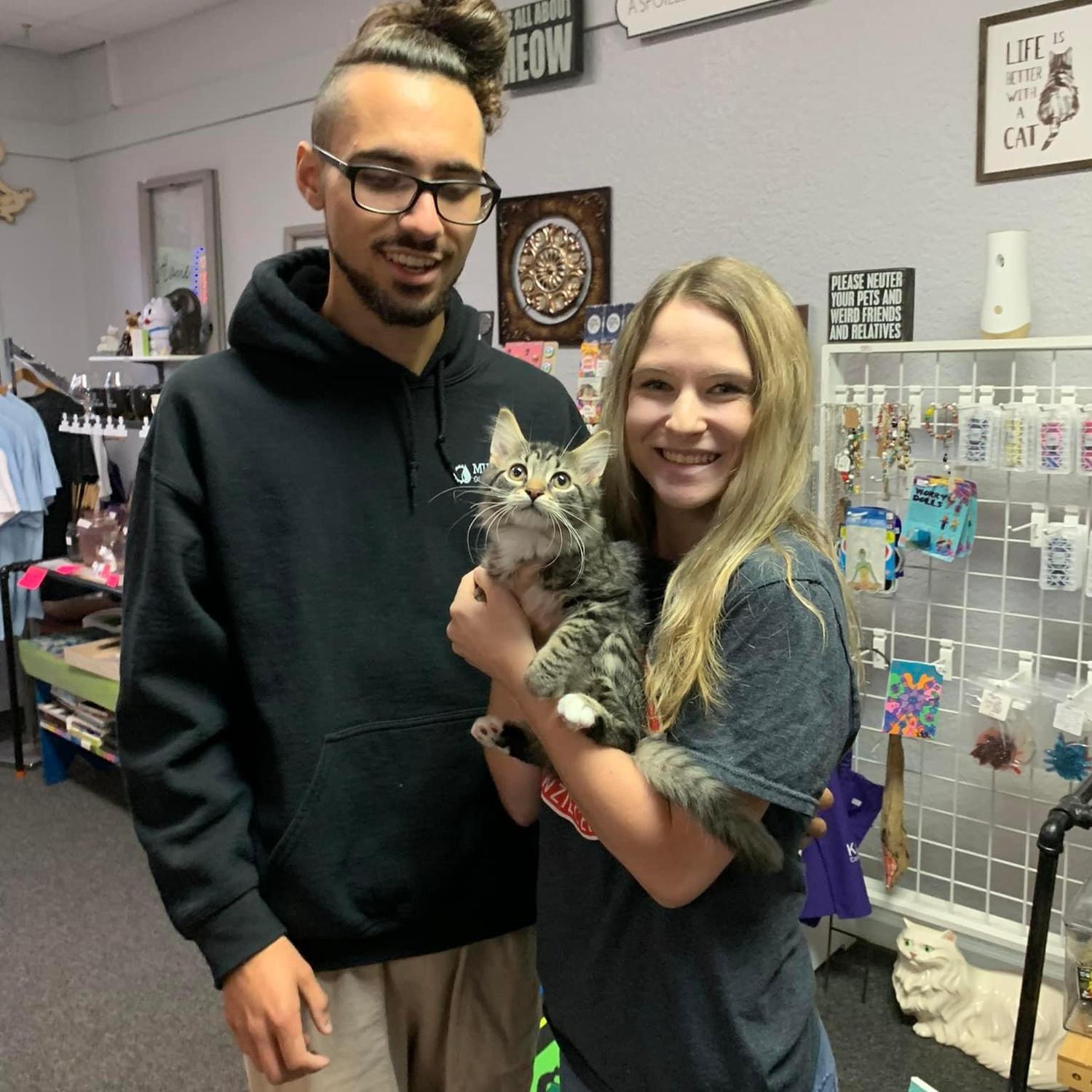 Adopted our first cat!