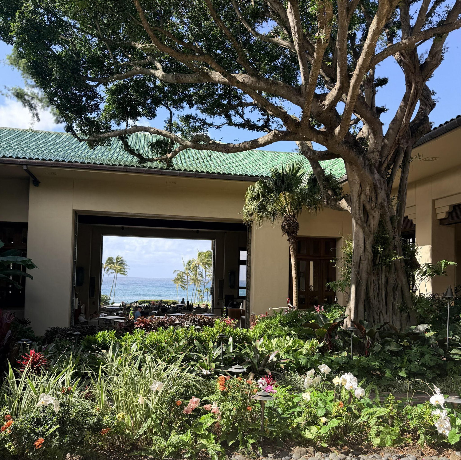 Our favorite view on our way to grab our coffee at our resort in Kauai