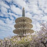 Japantown