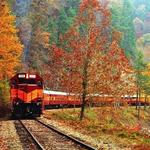 Great Smoky Mountains Railroad