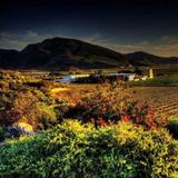 L.A. CETTO - Boutique Valle de Gpe.
