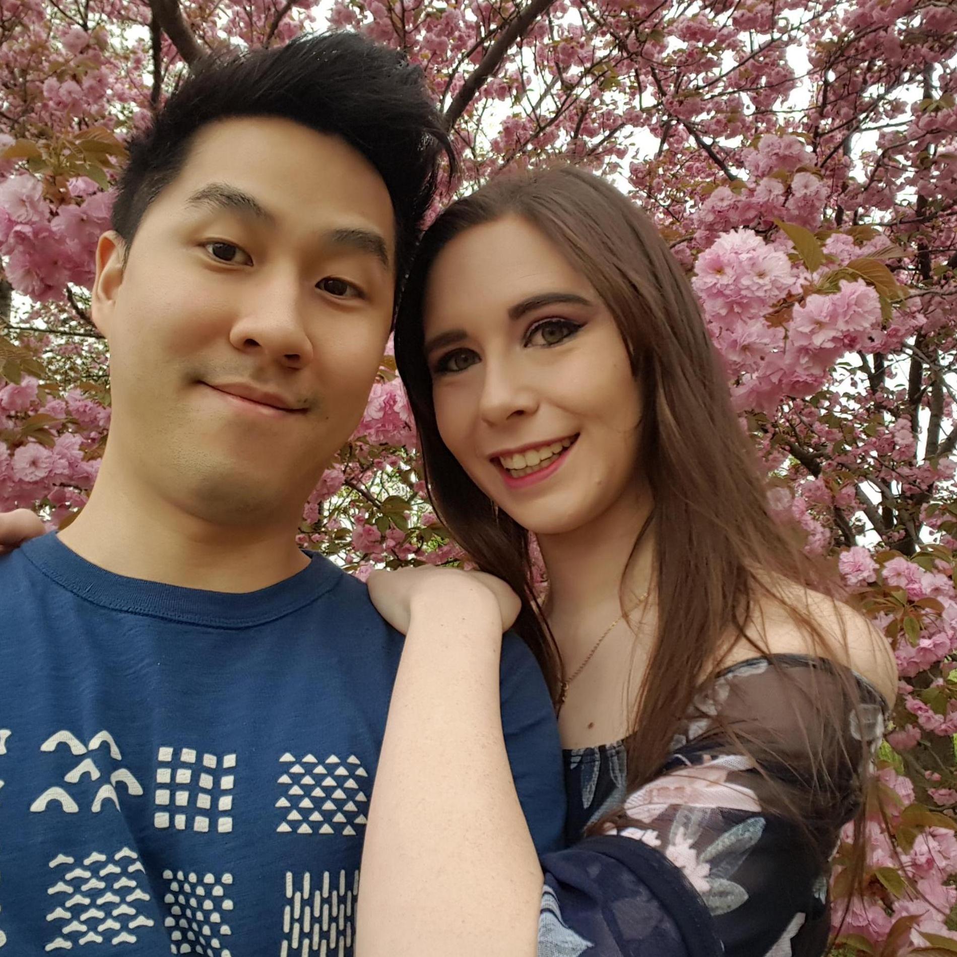 Cherry Blossoms in DC