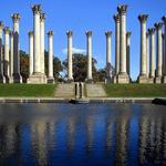 National Arboretum