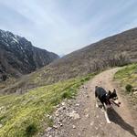 Trail Walk or Run in Millcreek Canyon