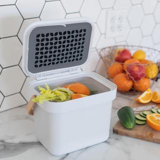 Post Modern Compost Collector