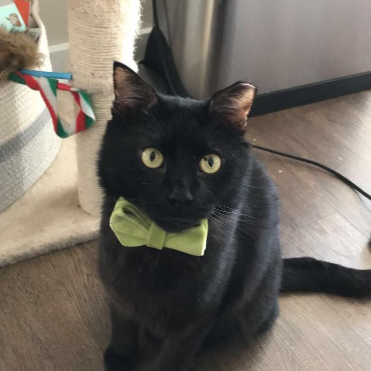 Our handsome boy