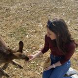 Lone Pine Koala Sanctuary