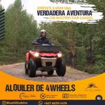 4-Wheel Adventure at The Blue Mountains