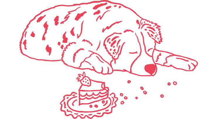 Footer image