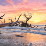 Edisto Beach