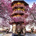 The Pagoda at Patterson Park