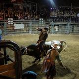 Buffalo Chip Saloon and Steakhouse