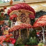 Bellagio Conservatory & Botanical Gardens