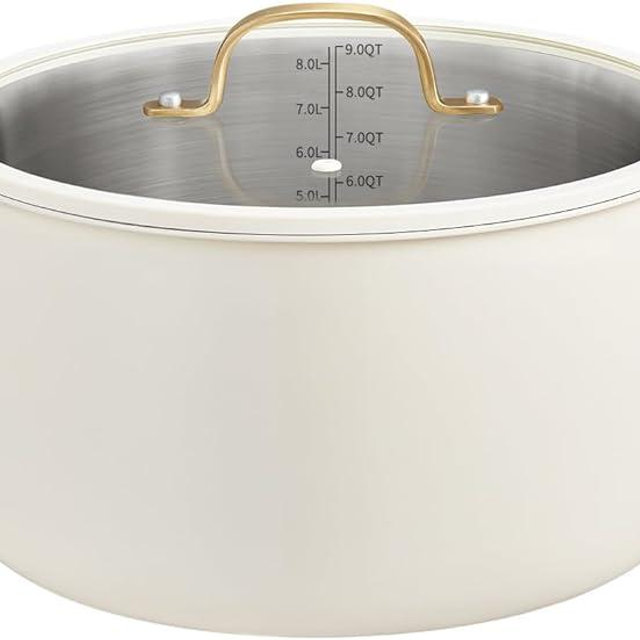 BEZIA 10 Quart Stainless Steel Stock Pot with Lid, Large Soup Pot for Batch Cooking & Entertaining, Induction Ready with See-Through Lid, Dishwasher Safe
