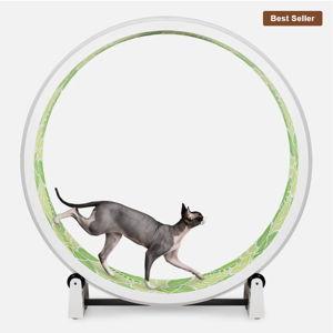 Cat Enrichment (Cat wheel + Catio) 🐈‍⬛🐈‍⬛🐈🐈