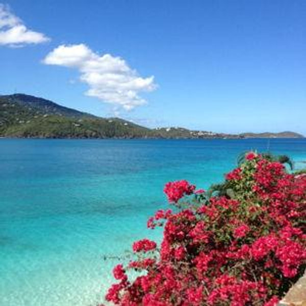Our dream honeymoon!