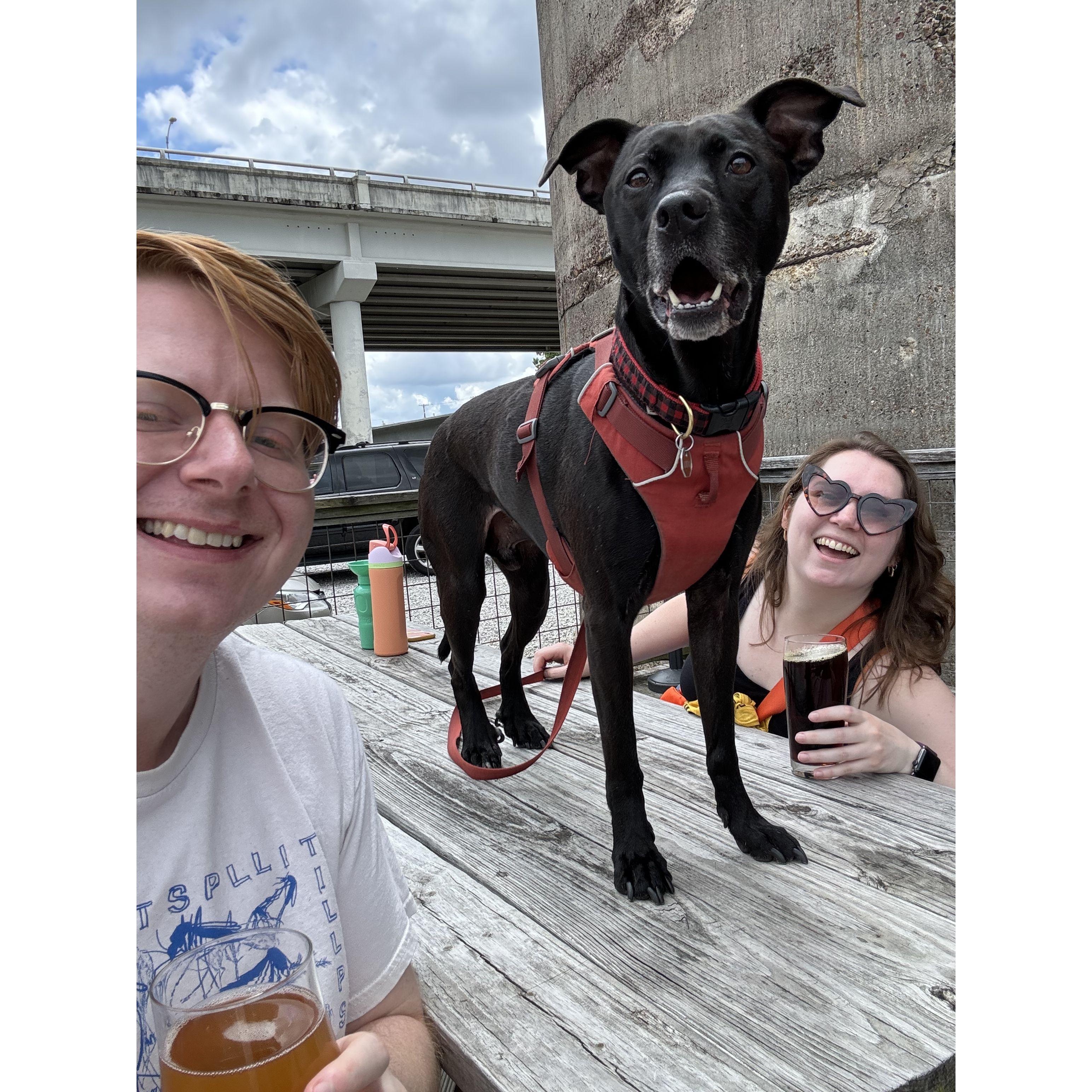 Ludo doesn't understand picnic tables and they don't understand him either.