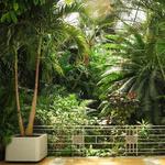 Krohn Conservatory