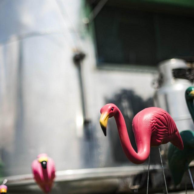 Original Pink Flamingos | Airstream Supply Company