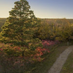 Newton Hills State Park