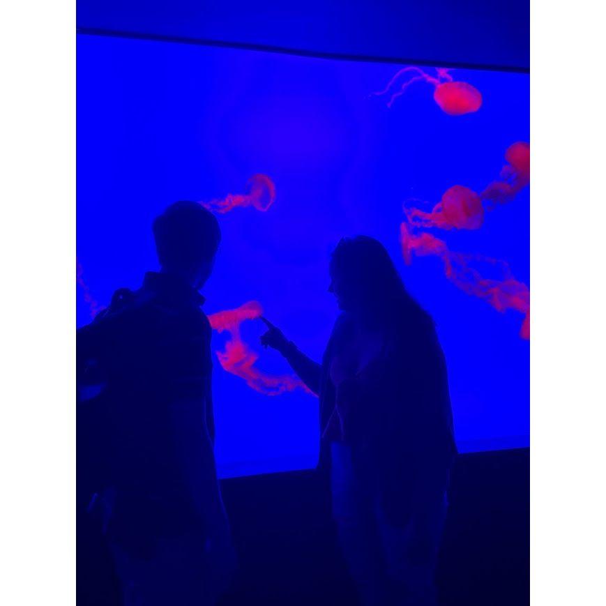 Ripley's Aquarium in South Carolina!